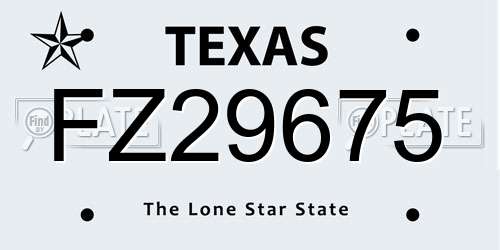 FZ29675 Texas License Plate