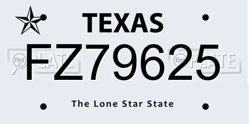 FZ79625 Texas License Plate