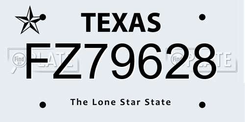 FZ79628 Texas License Plate