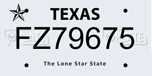 FZ79675 Texas License Plate