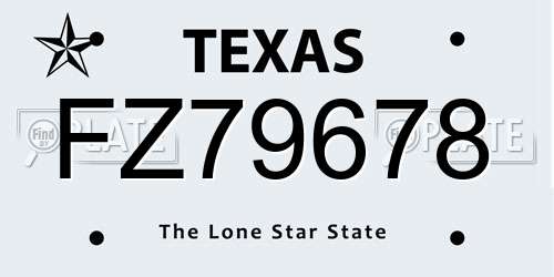 FZ79678 Texas License Plate