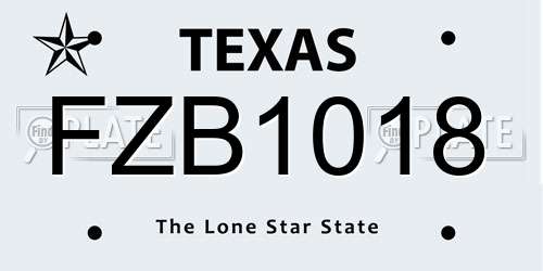 FZB1018 Texas License Plate