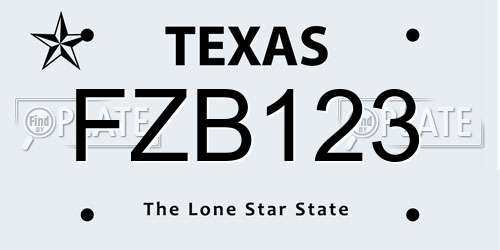 FZB123 Texas License Plate