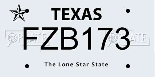 FZB173 Texas License Plate