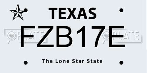 FZB17E Texas License Plate