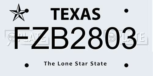 FZB2803 Texas License Plate