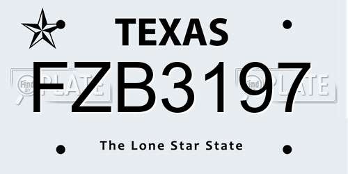 FZB3197 Texas License Plate