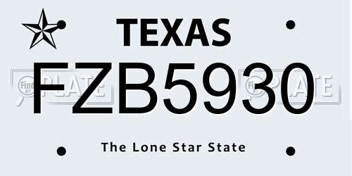 FZB5930 Texas License Plate