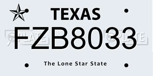 FZB8033 Texas License Plate