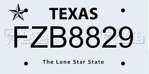 FZB8829 Texas License Plate