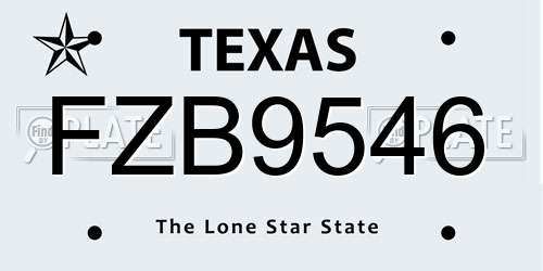 FZB9546 Texas License Plate