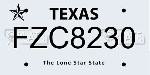 FZC8230 Texas License Plate