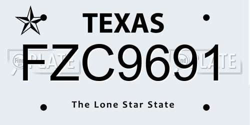FZC9691 Texas License Plate