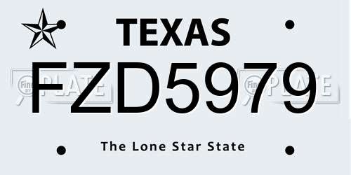 FZD5979 Texas License Plate