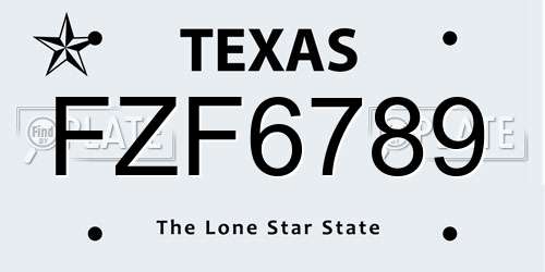 FZF6789 Texas License Plate