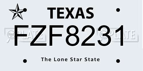 FZF8231 Texas License Plate
