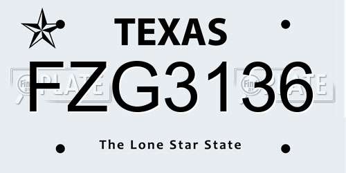 FZG3136 Texas License Plate