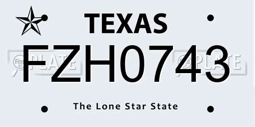 FZH0743 Texas License Plate