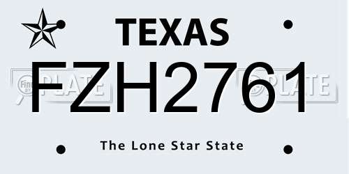 FZH2761 Texas License Plate