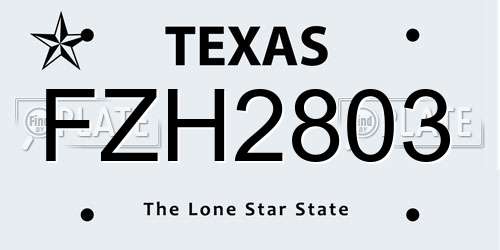 FZH2803 Texas License Plate