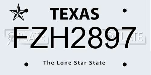 FZH2897 Texas License Plate