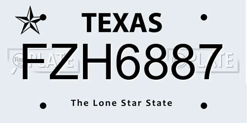 FZH6887 Texas License Plate