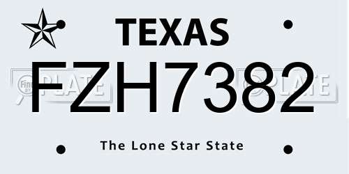 FZH7382 Texas License Plate