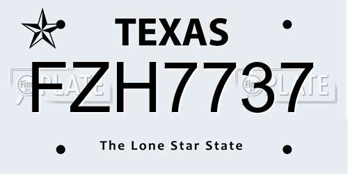FZH7737 Texas License Plate