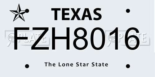 FZH8016 Texas License Plate