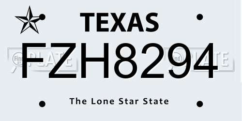 FZH8294 Texas License Plate