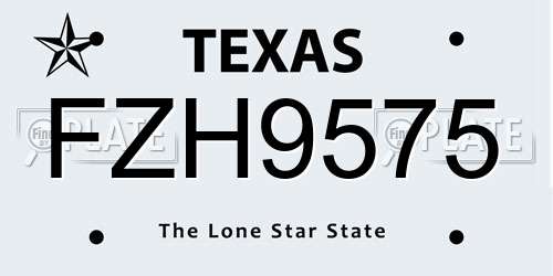 FZH9575 Texas License Plate