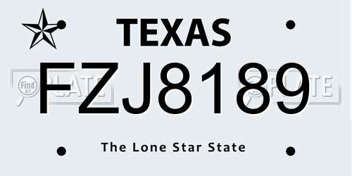 FZJ8189 Texas License Plate