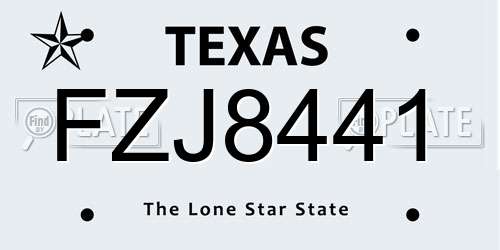 FZJ8441 Texas License Plate