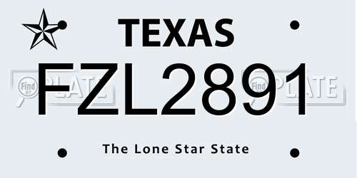 FZL2891 Texas License Plate