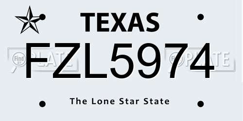 FZL5974 Texas License Plate