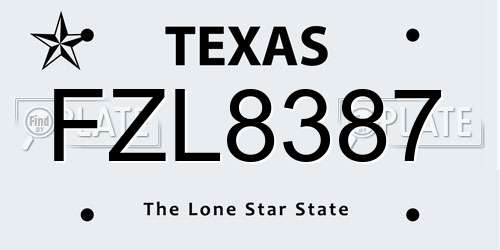 FZL8387 Texas License Plate
