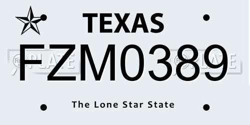 FZM0389 Texas License Plate