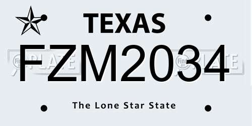 FZM2034 Texas License Plate