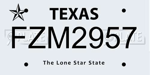 FZM2957 Texas License Plate
