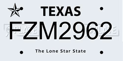 FZM2962 Texas License Plate