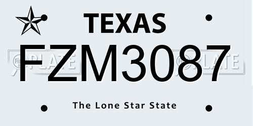 FZM3087 Texas License Plate