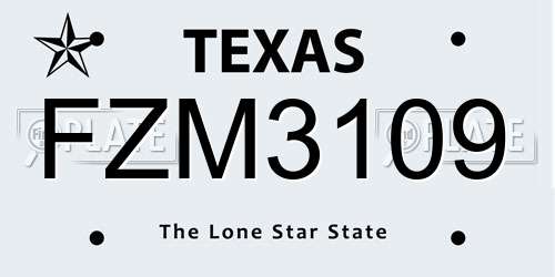 FZM3109 Texas License Plate