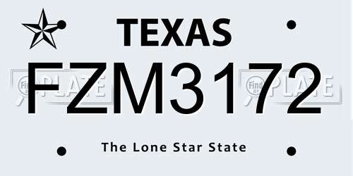 FZM3172 Texas License Plate