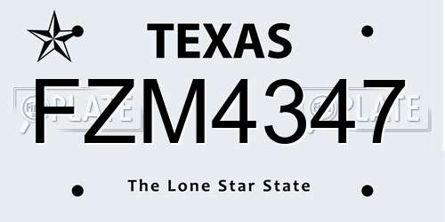 FZM4347 Texas License Plate