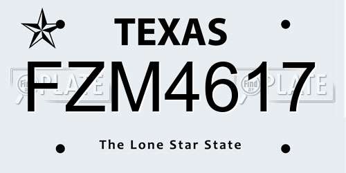 FZM4617 Texas License Plate