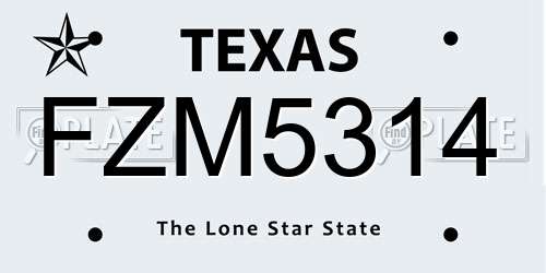 FZM5314 Texas License Plate