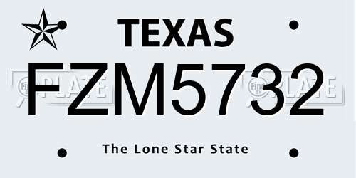FZM5732 Texas License Plate