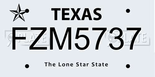FZM5737 Texas License Plate
