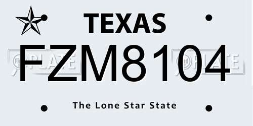 FZM8104 Texas License Plate