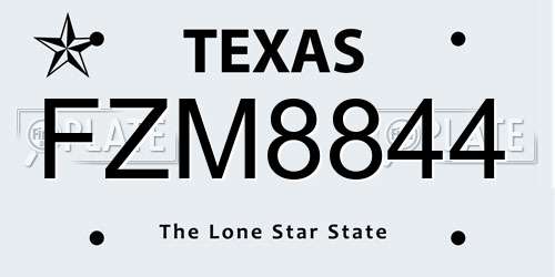FZM8844 Texas License Plate